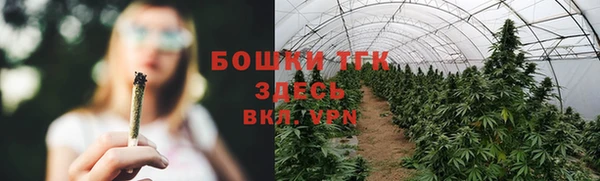 трава Арсеньев
