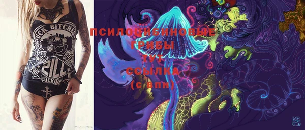 бошки Баксан