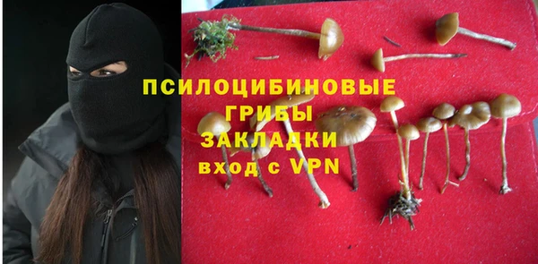 трава Арсеньев